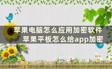 苹果电脑怎么应用加密软件 苹果平板怎么给app加密